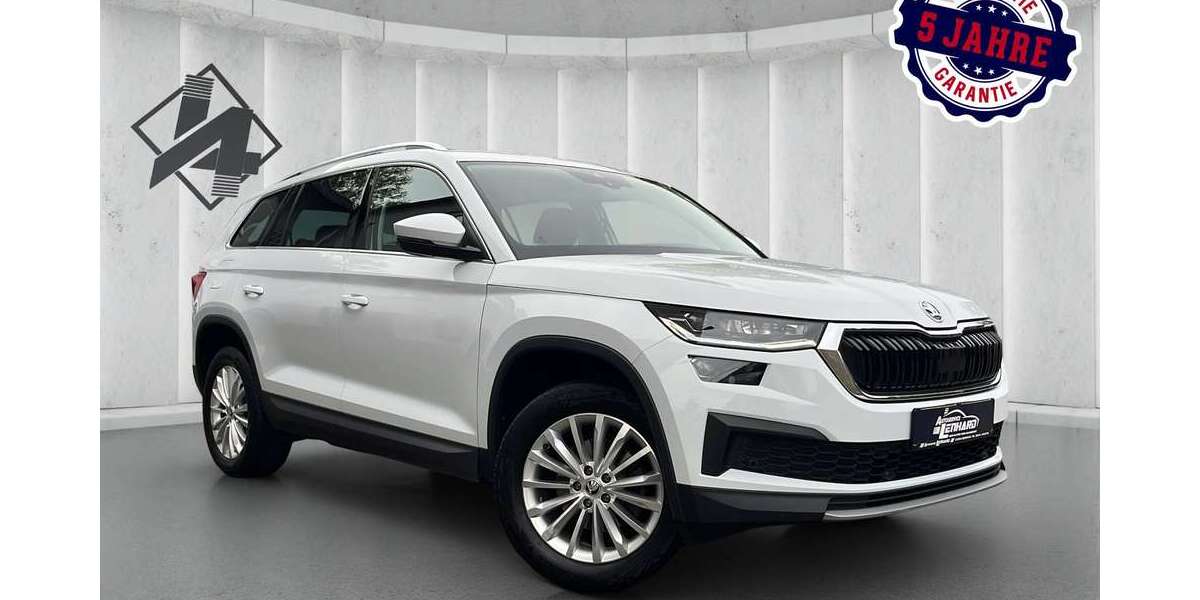 Skoda Kodiaq 31.200 km 32.190 &euro; Lingenfeld 67360