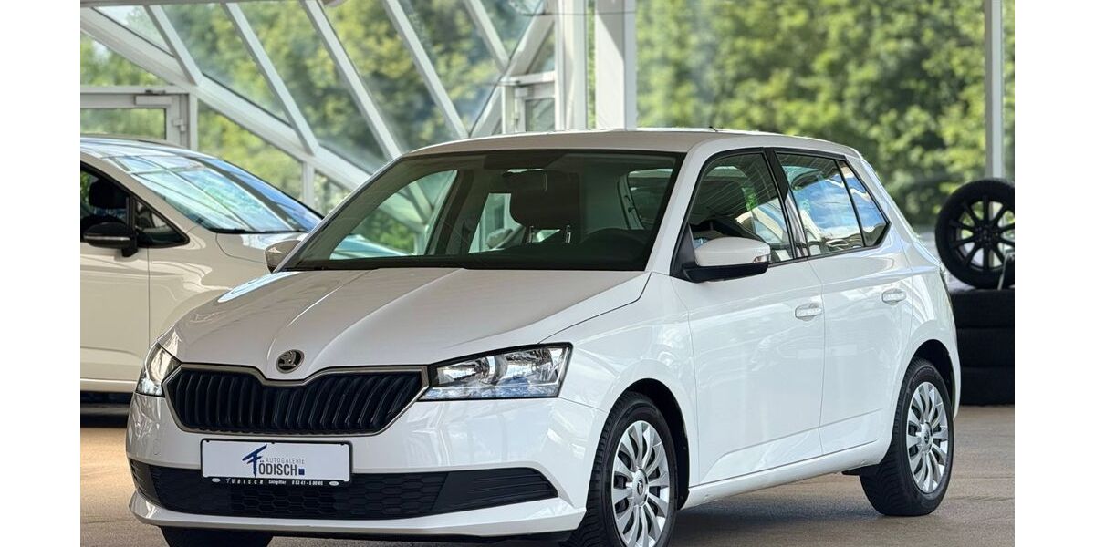Skoda Fabia 11.478 km 13.490 &euro; Salzgitter 38228