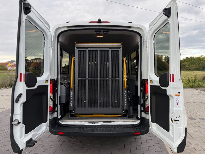 Ford Transit 8.000 km 42.999 € Erlensee 63526