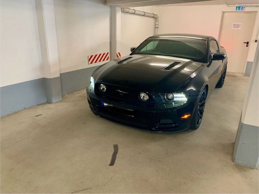 Mustang