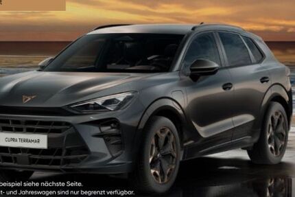 Cupra Terramar 4.900 km 47.999 &euro; Düsseldorf 40233