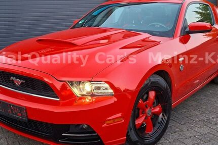 Ford Mustang 240.000 km 12.990 &euro; Mainz-Kastel 55252