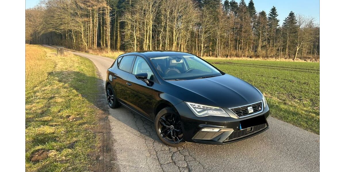 Seat Leon 143.000 km 11.899 &euro; Bredenbek 24796