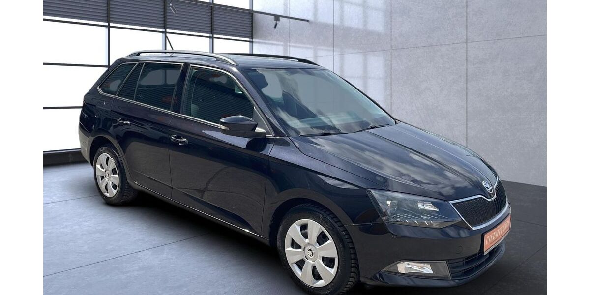 Skoda Fabia 263.780 km 4.100 &euro; Erfurt 99086