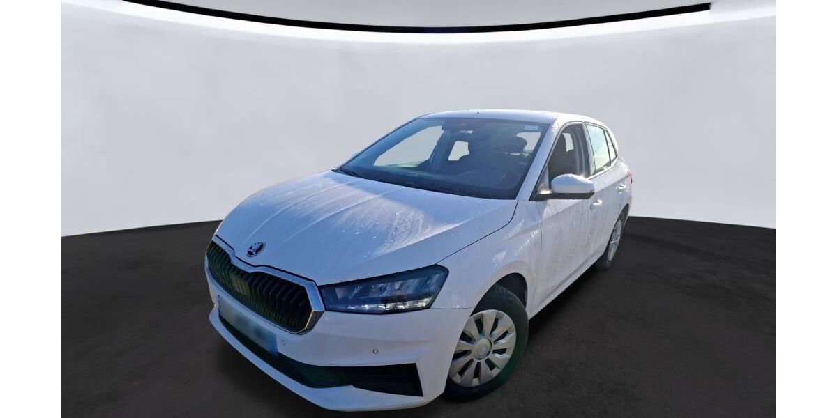 Skoda Fabia 41.820 km 11.310 &euro; Hagen 58091