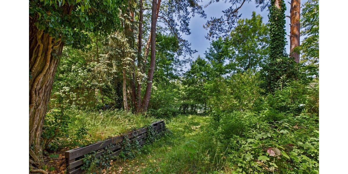 Wochenendgrundstück mit direktem Seezugang - am Elsensee in Grünheide (Mark) - Bungalow Grünheide (Mark) | Angebot:21717230