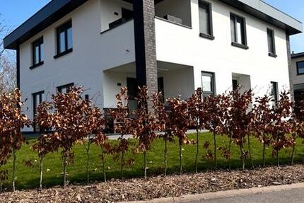 Wohnung Boltenhagen - 4 Zimmer, 120 m&sup2;, 1.195&euro; | Angebot:25279881