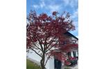 Einfamilienhaus Marktredwitz - 6 Zimmer, 190 m&sup2;, 679.000&euro; | Angebot:26056411