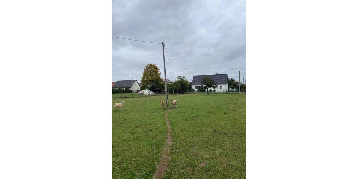 Grundstück Nichtewitz Nichtewitz - 20.000&euro; | Angebot:25679415