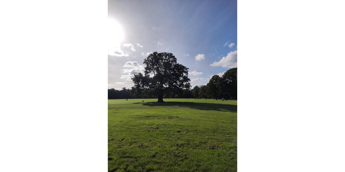 Etagenwohnung Leipzig Nord - 3 Zimmer, 100 m&sup2;, 385.000&euro; | Angebot:26348787