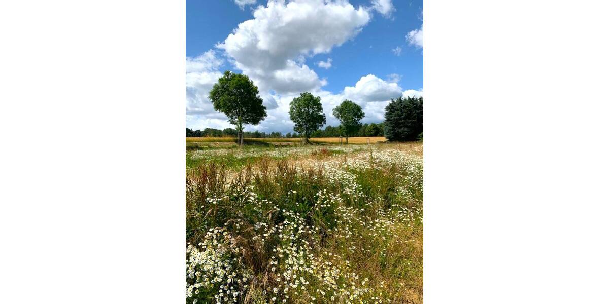 Grundstück Pulsnitz - 132.750&euro; | Angebot:22451008