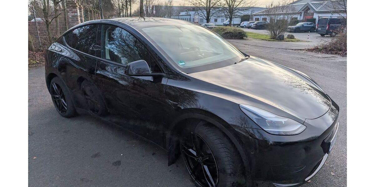 Tesla Model Y 36.500 km 31.490 &euro; Niederkassel 53859