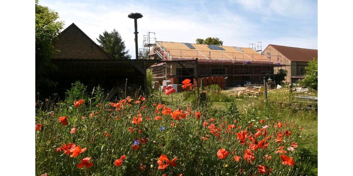 Reihenhaus Löwenberger Land - 4 Zimmer, 96 m&sup2;, 1.100&euro; | Angebot:25510435