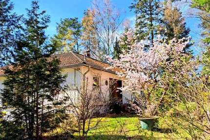 Haus Suderburg - 5 Zimmer, 130 m&sup2;, 238.000&euro; | Angebot:27200289