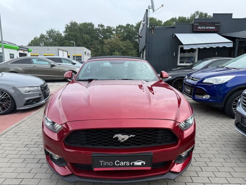 Mustang