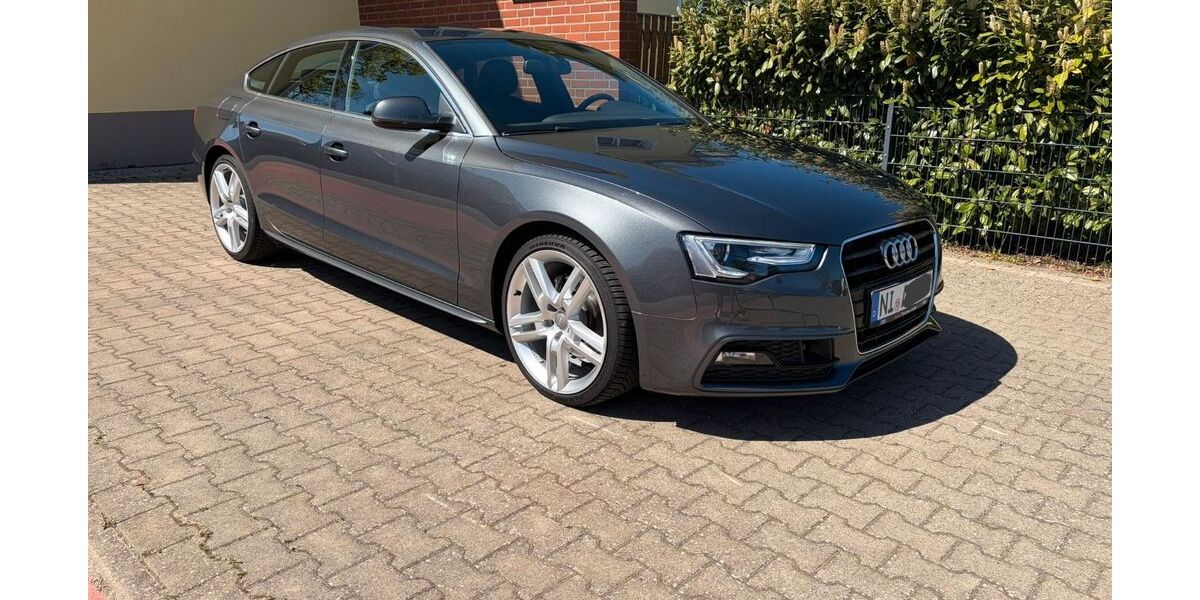 Audi A5 113.000 km 16.900 &euro; Diepenau 31603