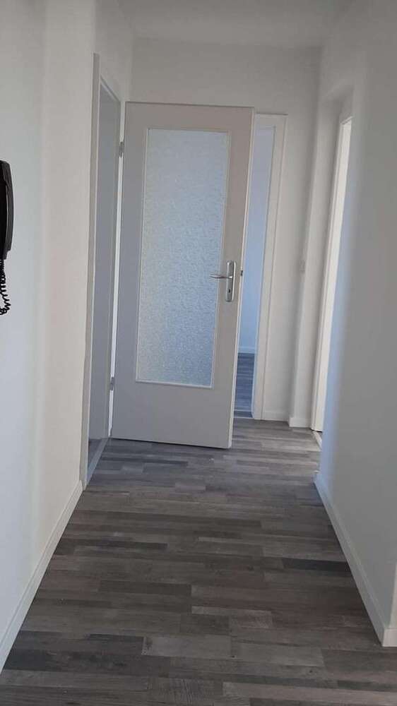 Wohnung zum Mieten in Döbeln 295 € 60 m²