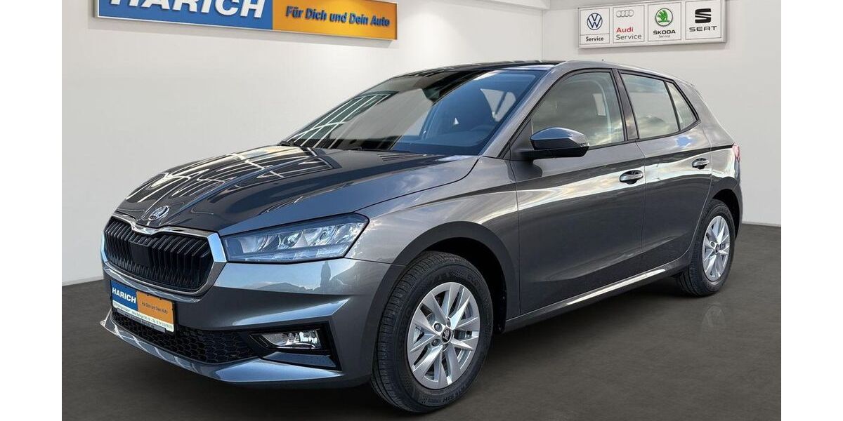 Skoda Fabia 2.501 km 20.490 &euro; Balingen 72336