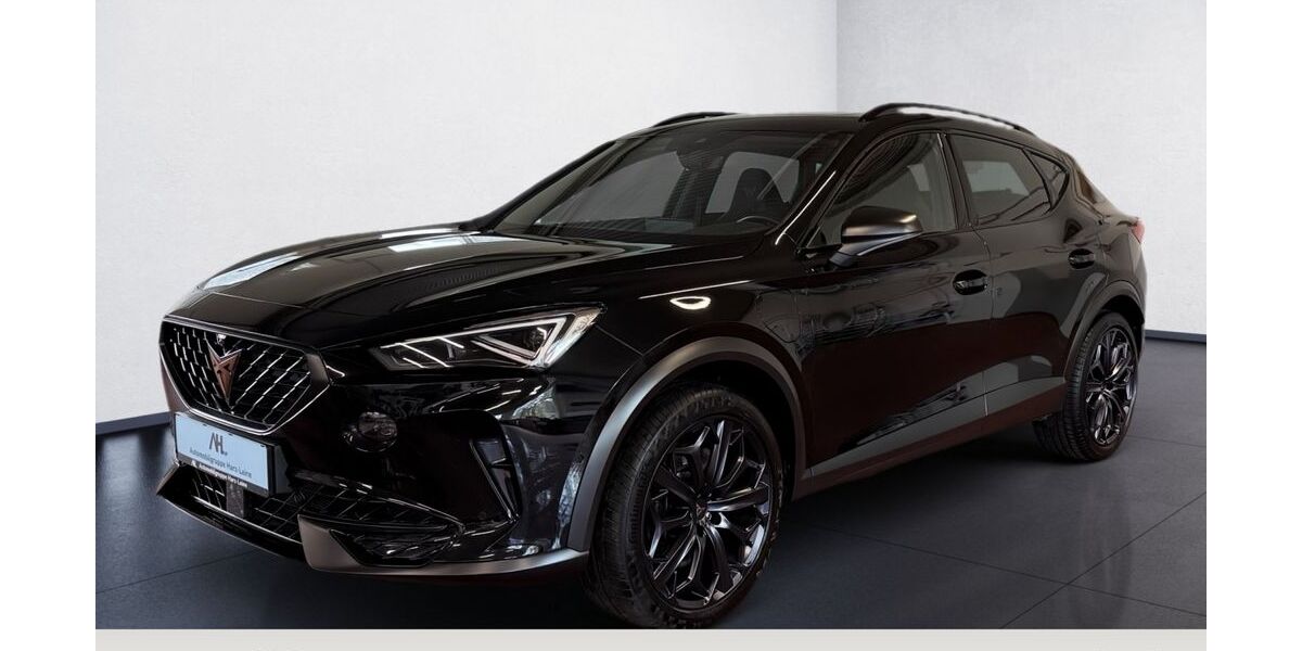 Cupra Formentor 80.748 km 25.787 &euro; Osterode 37520
