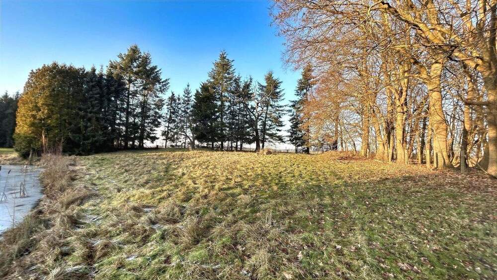 Doppelhaushälfte Gottesgabe Klein Welzin - 6 Zimmer, 160 m&sup2;, 219.000&euro; | Angebot:25670085