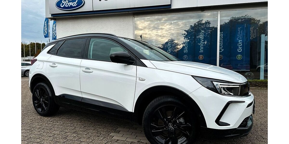 Opel Grandland (X) 19.756 km 23.495 &euro; Brake 26919