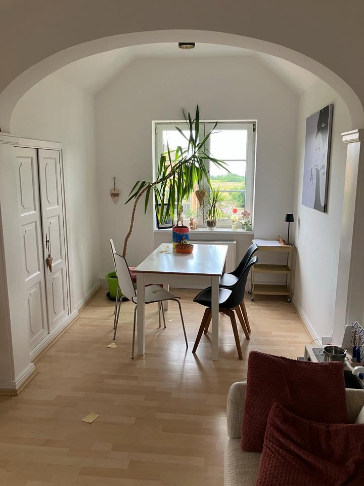 2 12 ZKB Altbau mit Weitblick und grossem Garten