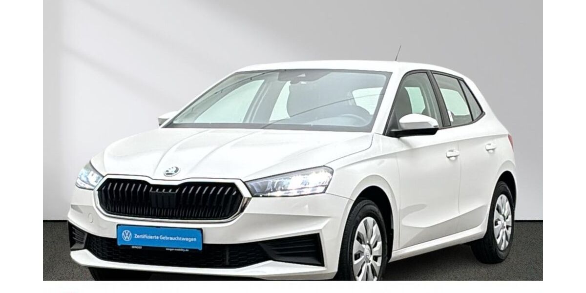 Skoda Fabia 28.752 km 18.380 &euro; Emsdetten 48282