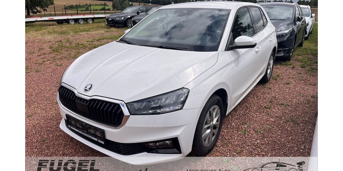 Skoda Fabia 44.500 km 15.899 &euro; Oberlungwitz 09353