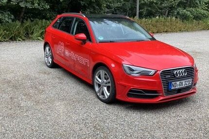 Audi A3 54.500 km 13.200 &euro; Pobenhausen 85123