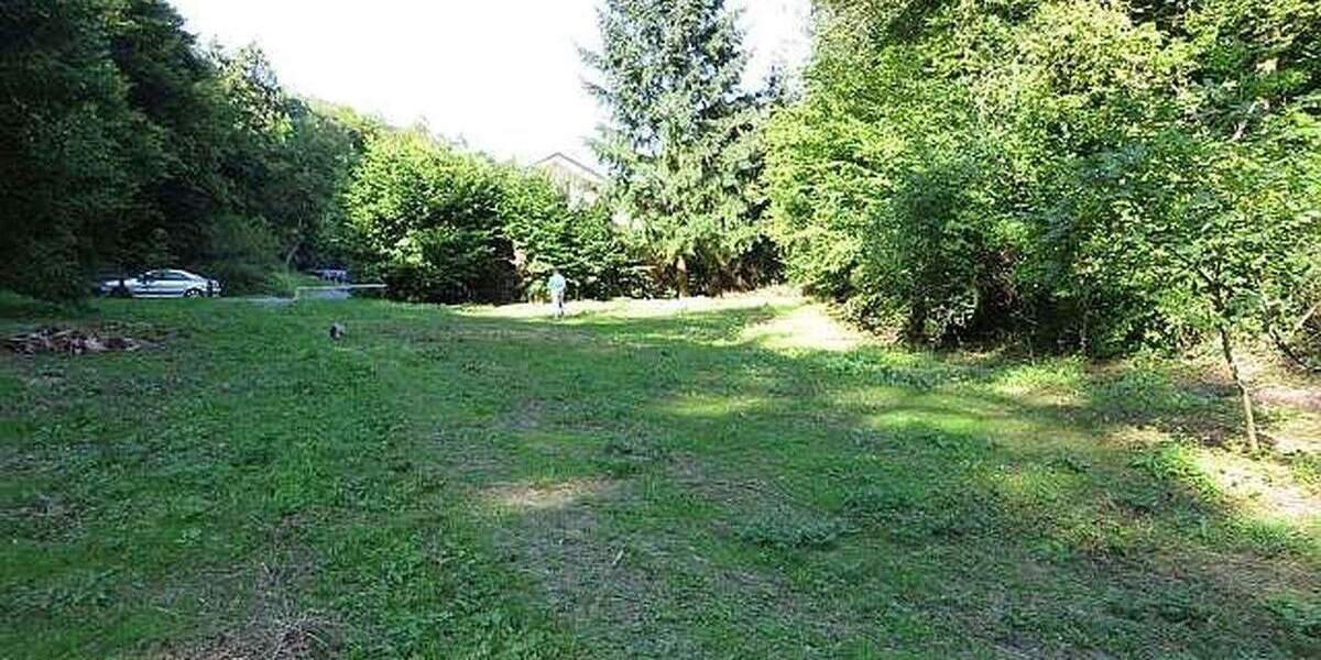 Waldesch, Bauland auf 2432m² Grundstück, gesamt 8326m², ruhig, Bach, Ortsrand, Wald, unverbaubar, .. zimmer