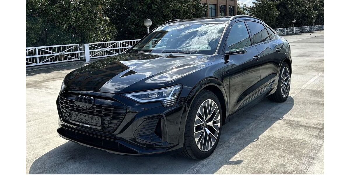 Audi Q8 e-tron 17.987 km 54.900 &euro; Ettlingen 76275