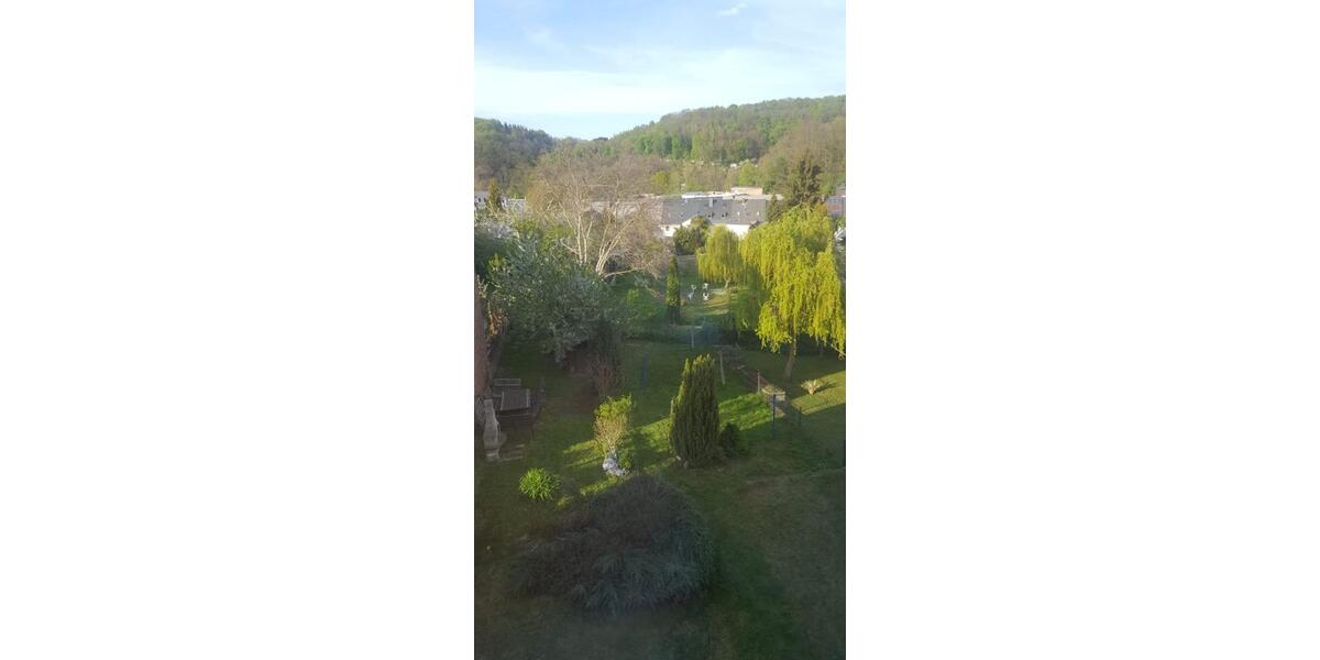 Etagenwohnung Waldheim - 1 Zimmer, 46 m&sup2;, 276&euro; | Angebot:24806656