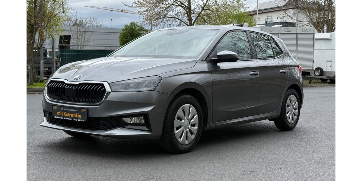 Skoda Fabia 99.000 km 11.999 &euro; Mainz-Kostheim 55246