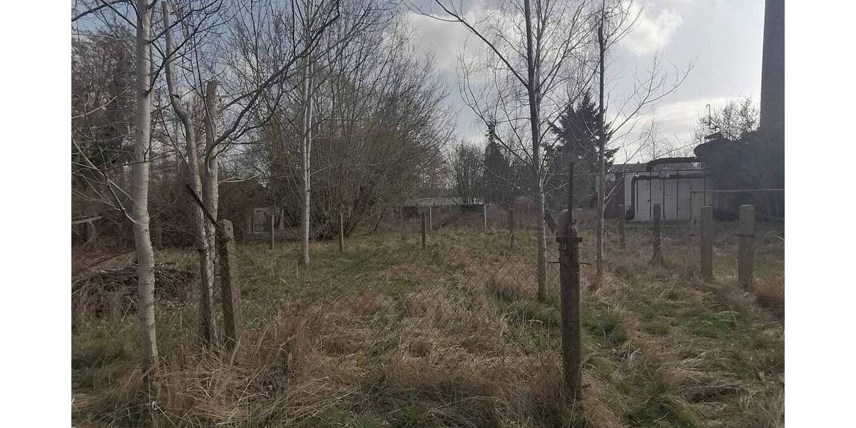 Grundstück Märkische Heide- Gross Leuthen Groß Leuthen - 300.000&euro; | Angebot:26794247