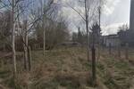 Grundstück Märkische Heide- Gross Leuthen Groß Leuthen - 300.000&euro; | Angebot:26794247