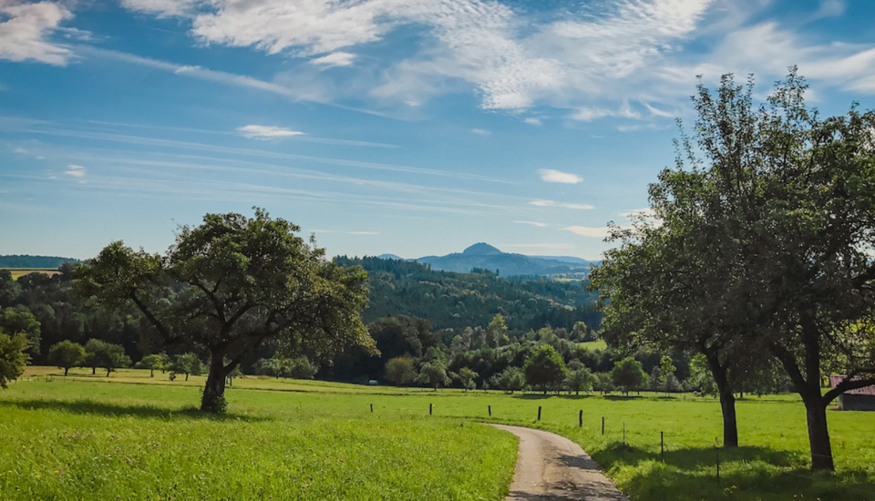 Haus Doppelhaushälfte mit Garten 6 zimmer