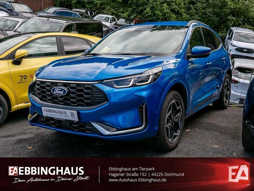 Kuga