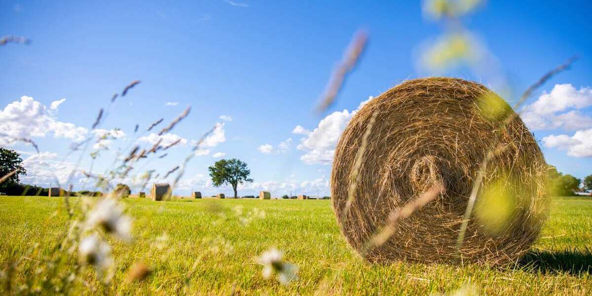 Grundstück Straubing - 31.860&euro; | Angebot:25447313