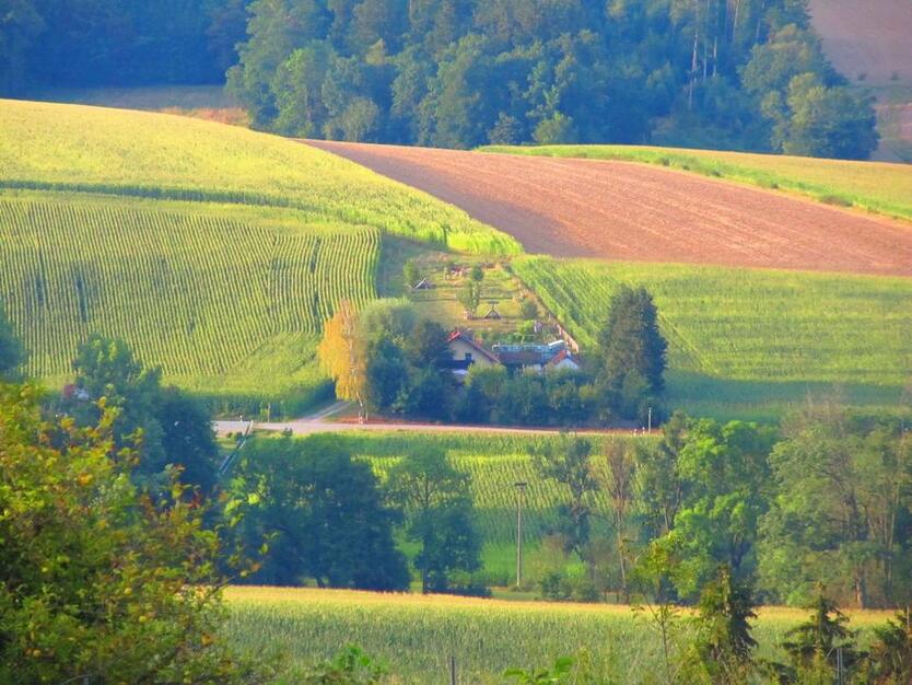 Kleiner Hof in fast Alleinlage Niederbayerisches Bäderdreieck