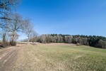 Attraktive Mischwaldgrundstücke mit viel Potenzial - Grundstück Chamerau / Bärndorf Bärndorf | Angebot:26531488