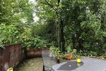 Gepflegte 3-Zimmer-Gartengeschosswohnung mit Einbauküche - Appartement Elzta-Auerbach Auerbach | Angebot:27053919