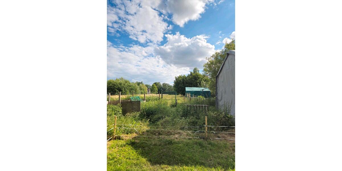 Einfamilienhaus Seelow - 3 Zimmer, 92 m&sup2;, 470.000&euro; | Angebot:25056266