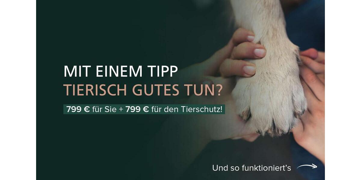 Gewerbeobjekt Rotenburg (Wümme) - 1.000&euro; | Angebot:24786856