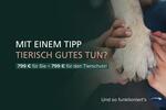Gewerbeobjekt Rotenburg (Wümme) - 1.000&euro; | Angebot:24786856