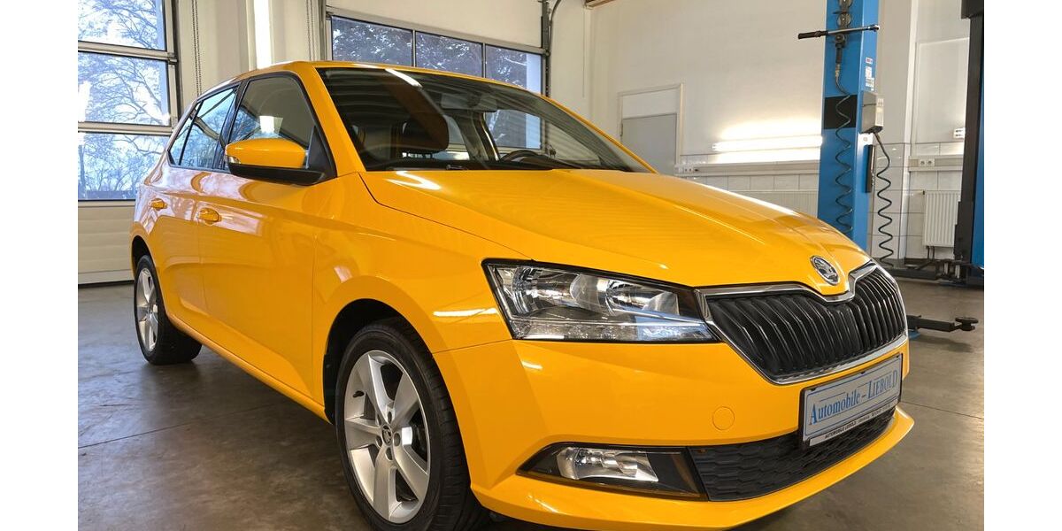 Skoda Fabia 66.618 km 12.200 &euro; Altenburg 04600