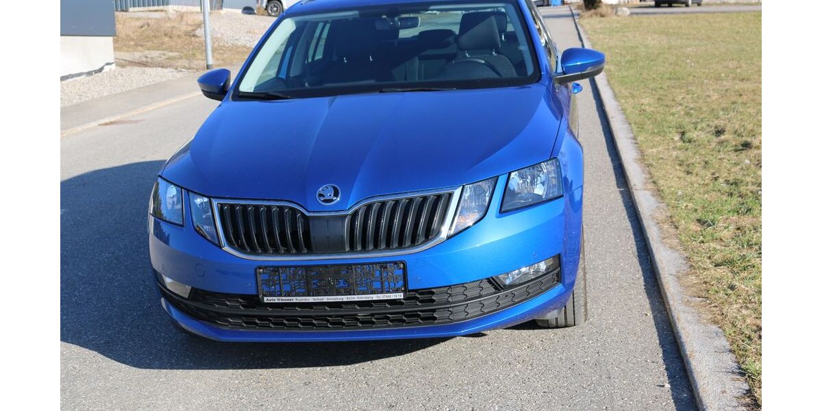 Skoda Octavia 110.000 km 15.490 &euro; Aichhalden-Rötenberg 78733