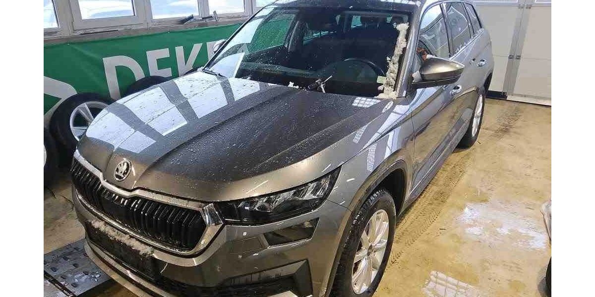 Skoda Kodiaq 117.800 km 24.990 &euro; Peine 31228