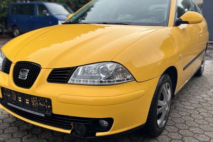 Seat Ibiza 153.940 km 2.000 &euro; Trierweiler 54311