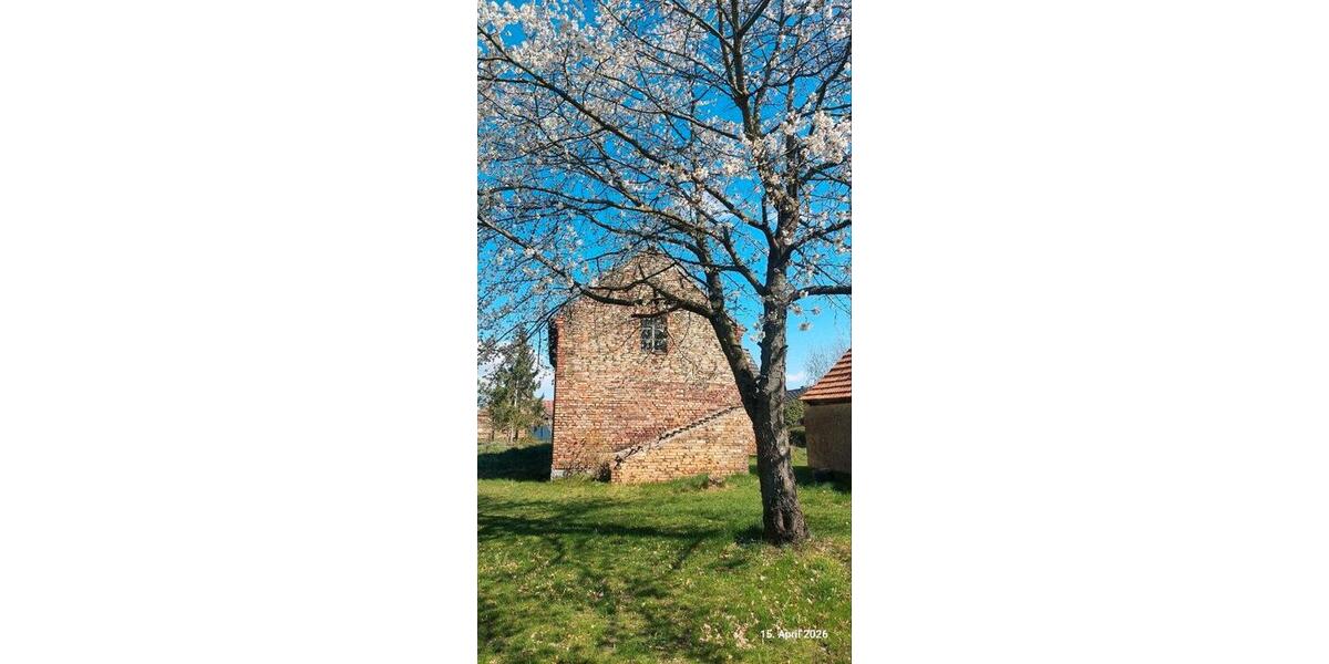 Bauernhaus, Landhaus Dahme/Mark Mark - 30.000&euro; | Angebot:26365781
