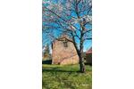 Bauernhaus, Landhaus Dahme/Mark Mark - 30.000&euro; | Angebot:26365781